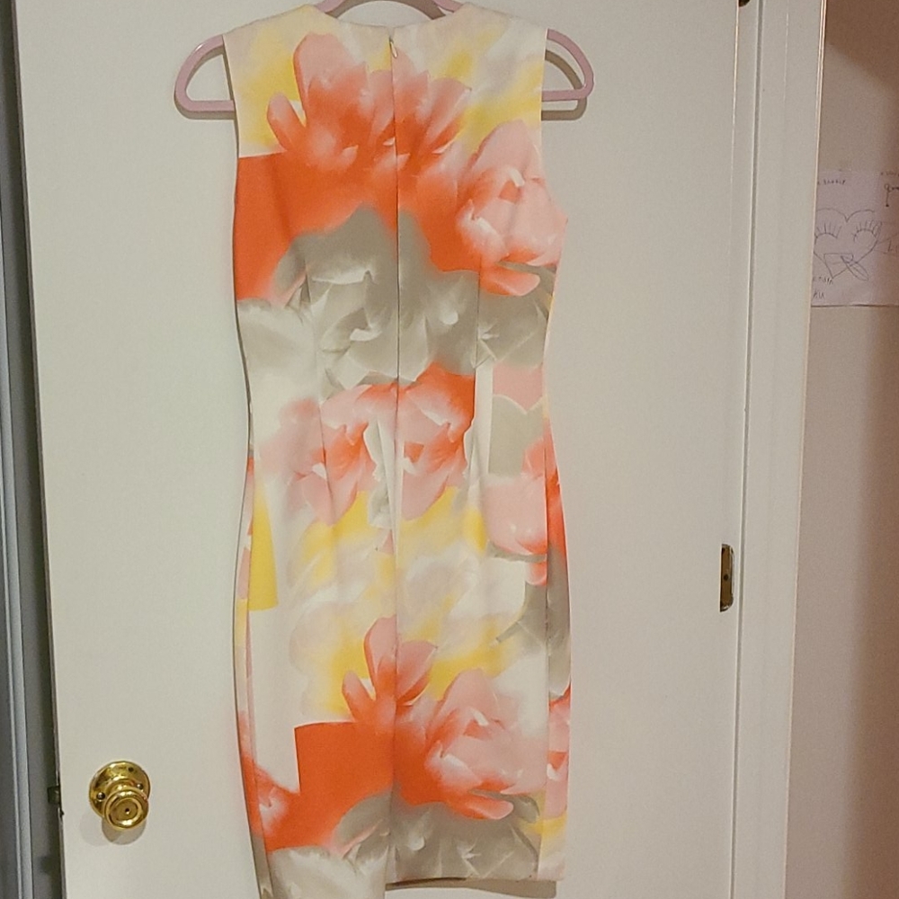 Ladies dress